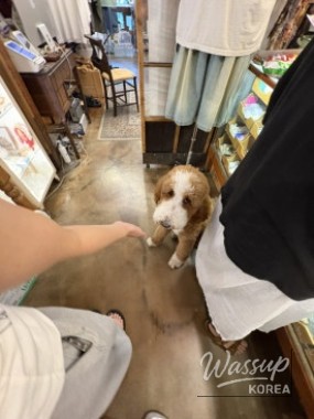 소중한 기억