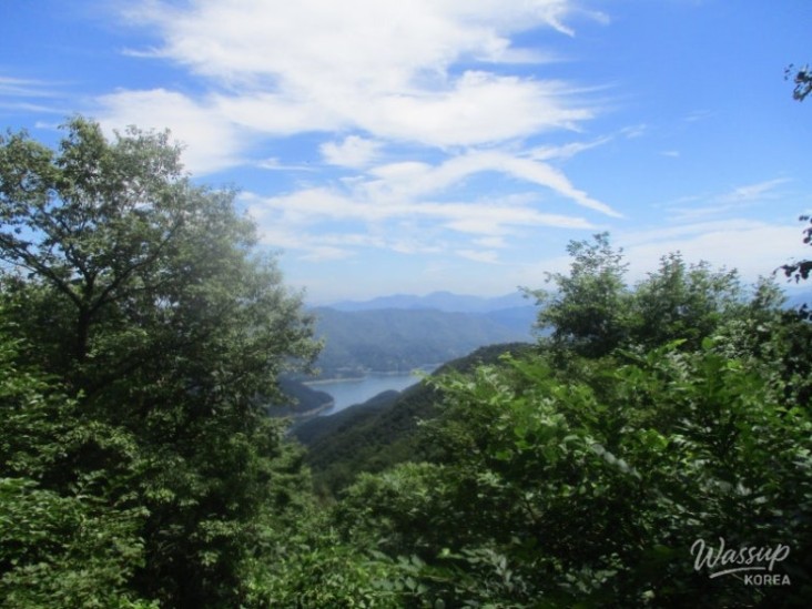 흥미로운 이미지