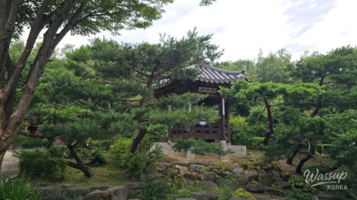 Peaceful scenery