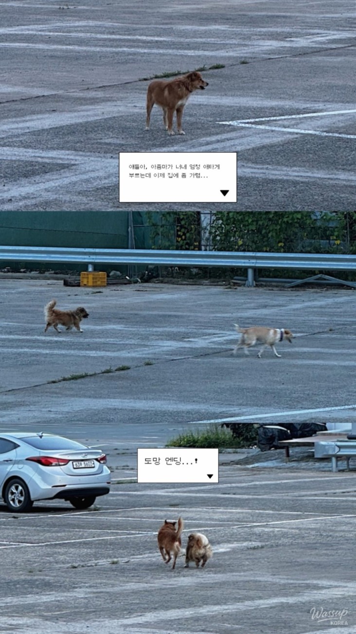 Interesting image