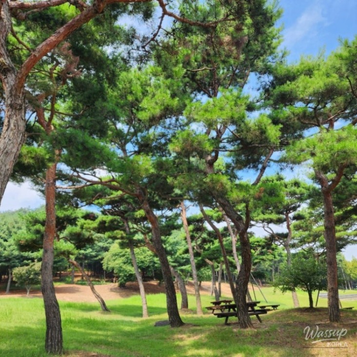 밝은 미래