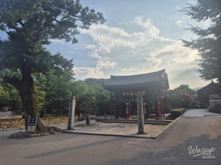 밝은 미래