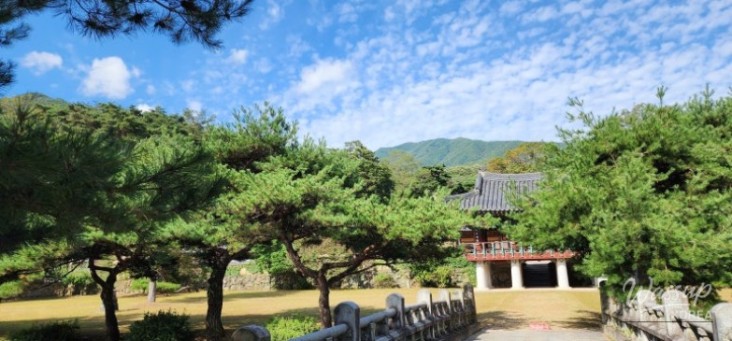 환상적인 장면