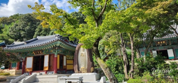 평화로운 풍경