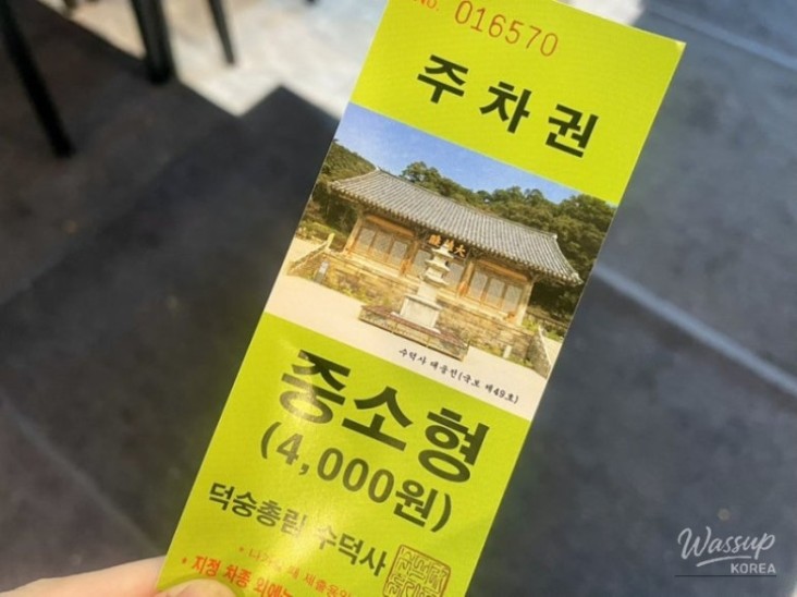 신비로운 모습