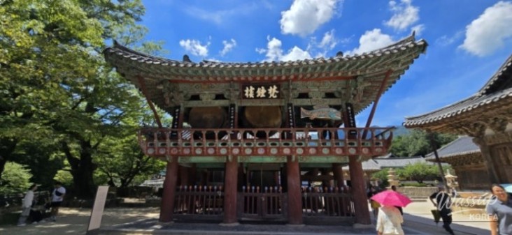 Mysterious Appearance