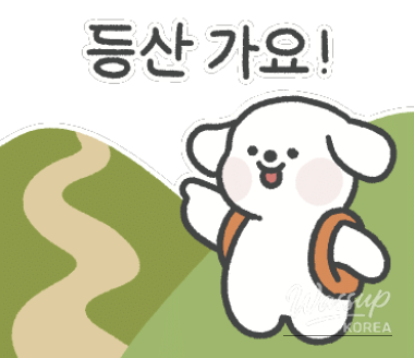 화려한 장면