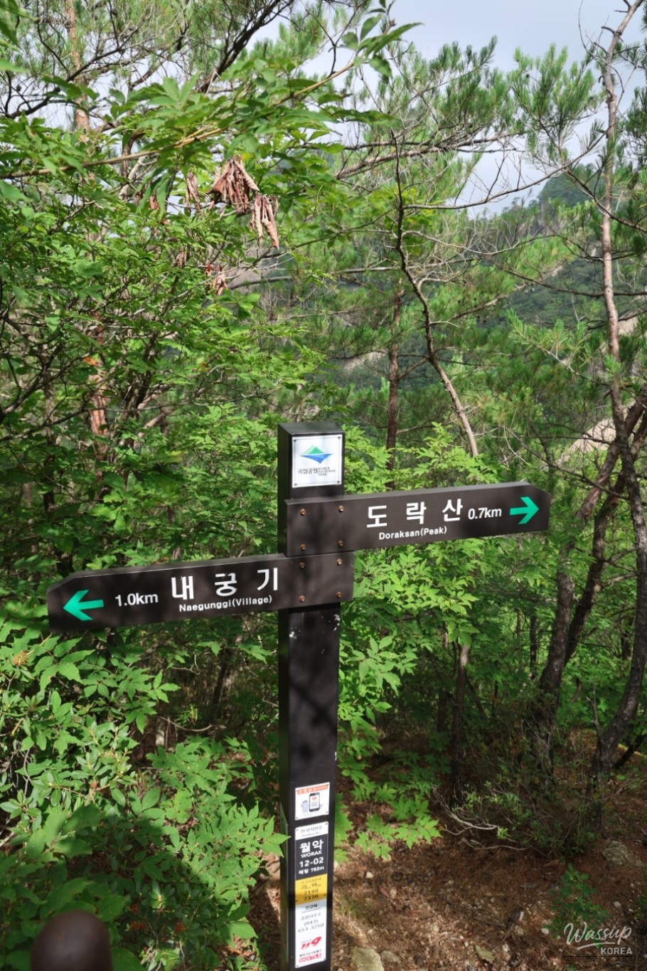 신비로운 모습