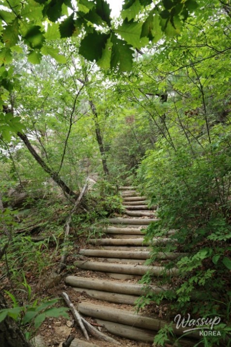 화려한 장면