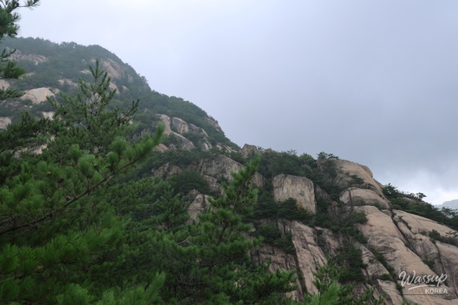 멋진 사진
