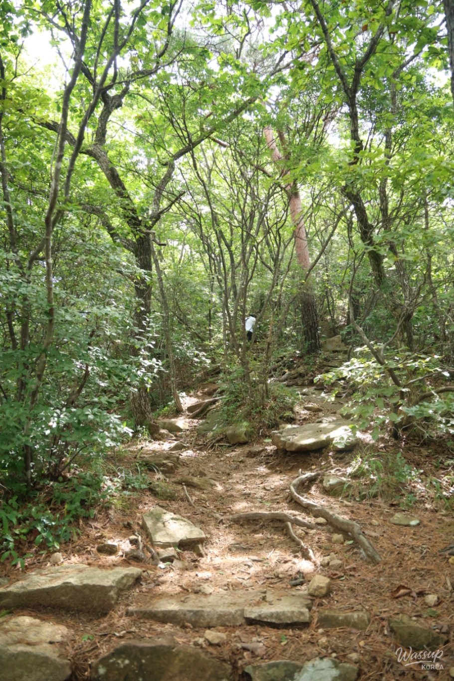 감동적인 장면