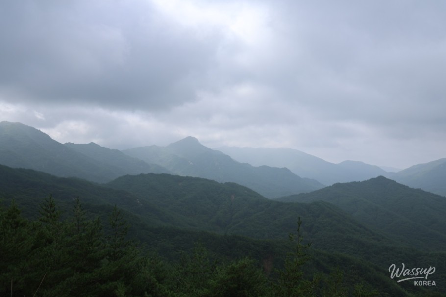 감동적인 장면