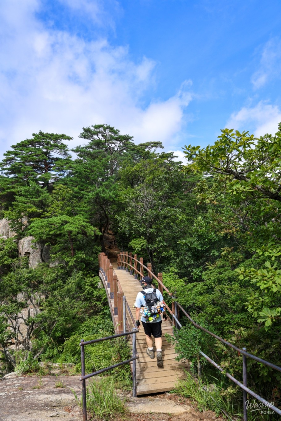 평화로운 풍경