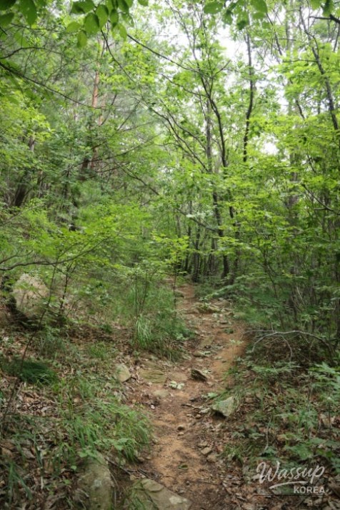 놀라운 광경