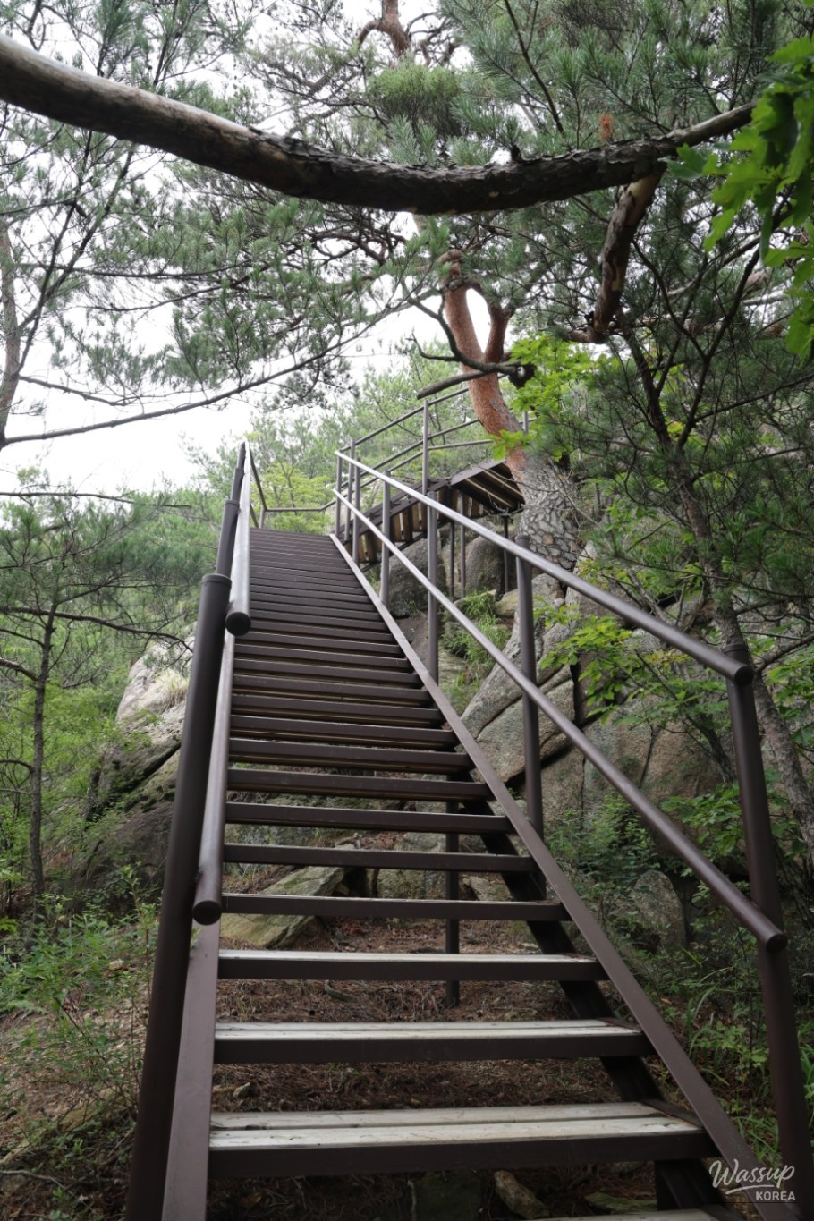평화로운 풍경