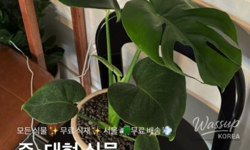 멋진 사진