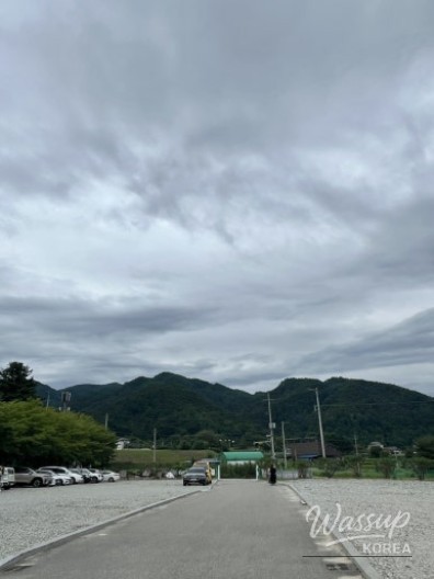 Fantastic Scene