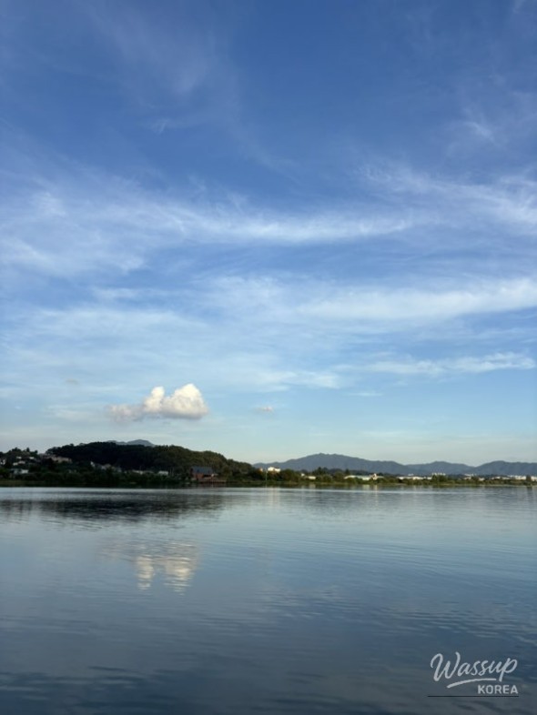 매력적인 사진