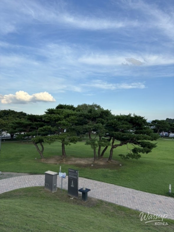 인상 깊은 모습