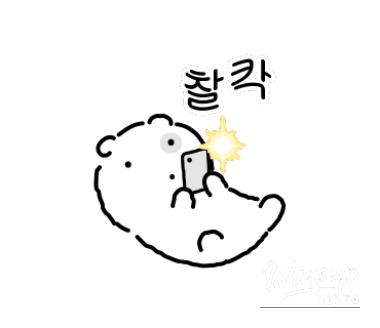놀라운 광경