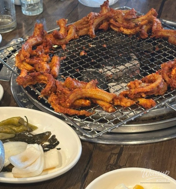 평화로운 풍경