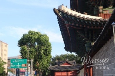 놀라운 광경