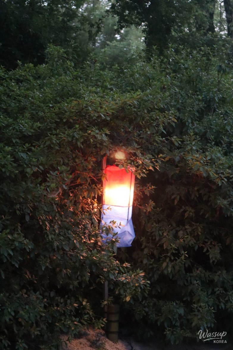 밝은 미래
