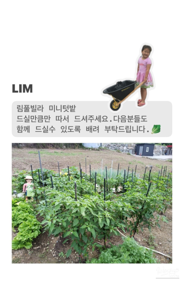 아름다운 풍경