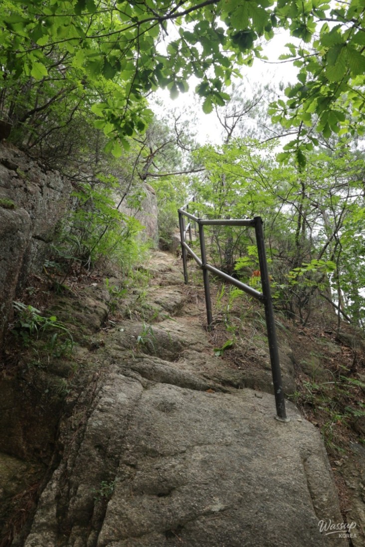 흥미로운 이미지