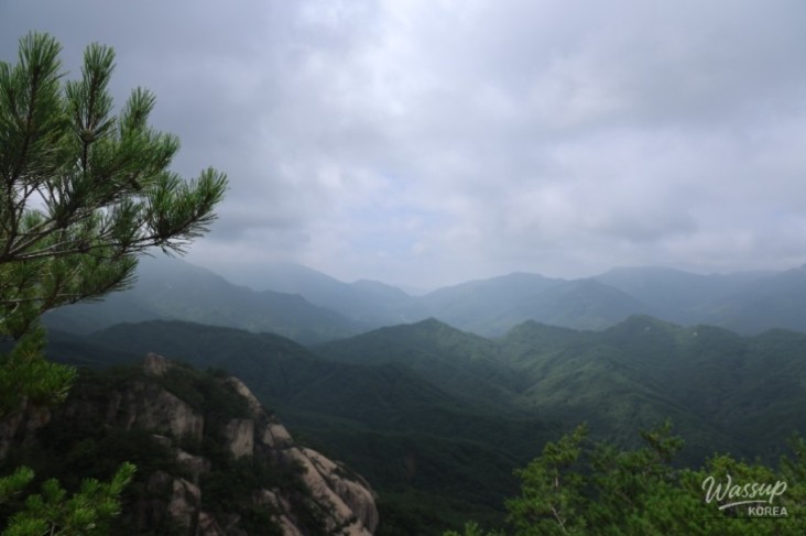 화려한 장면