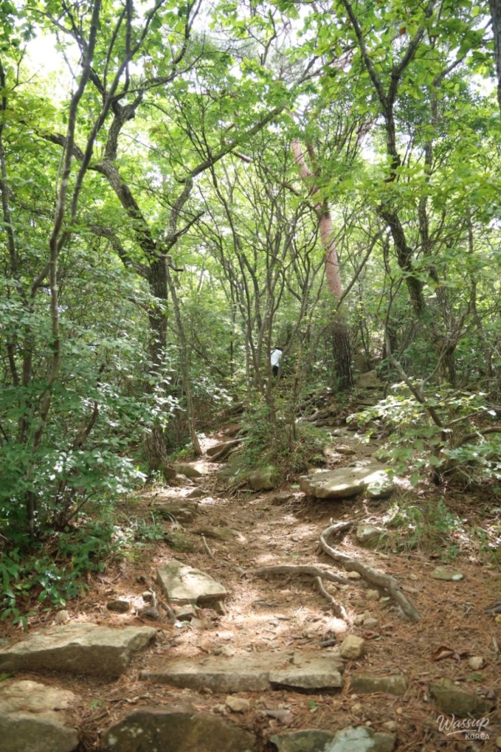 감동적인 장면