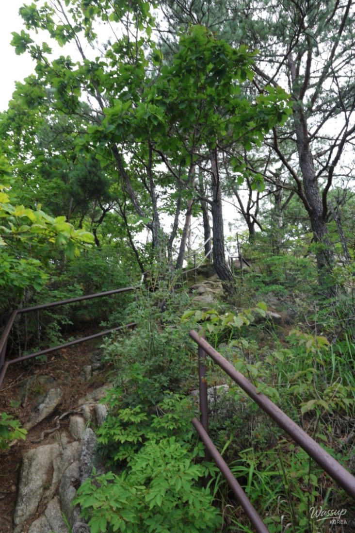 흥미로운 이미지