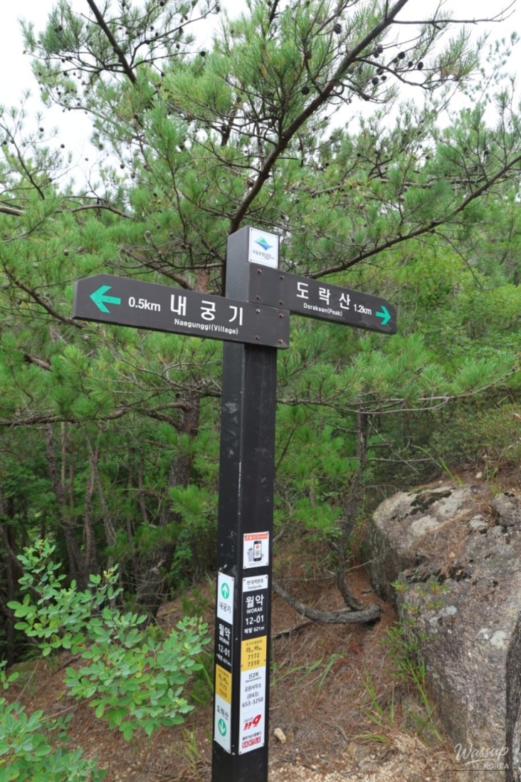 밝은 미래