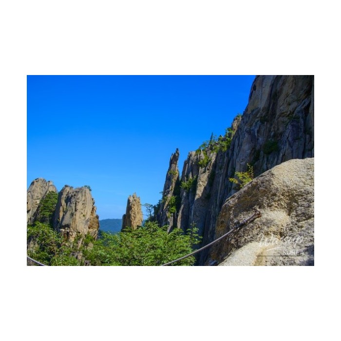 A beautiful and special moment captured during a serene day in Korea