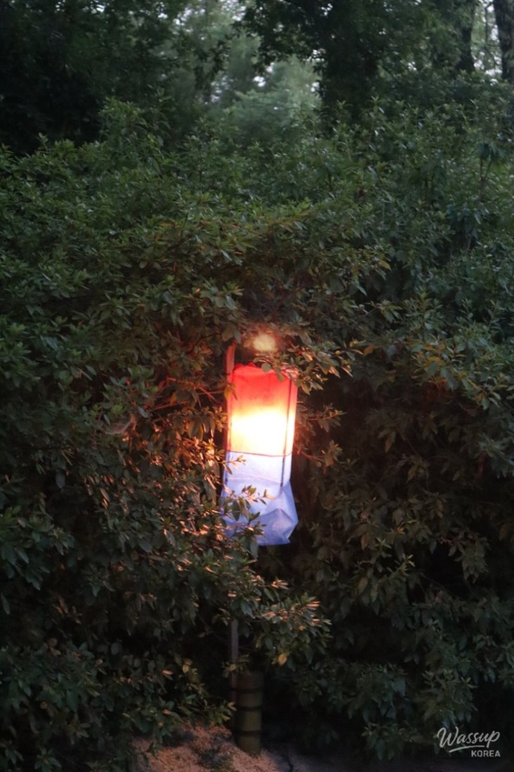 밝은 미래
