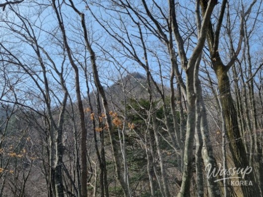 값진 경험