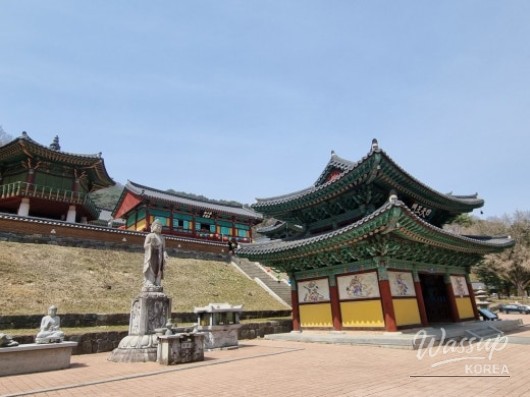 매력적인 사진