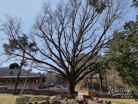 희망찬 내일
