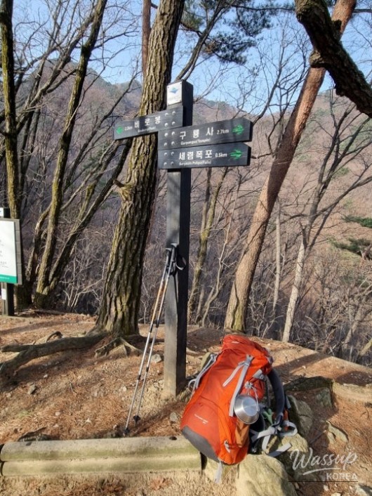멋진 사진