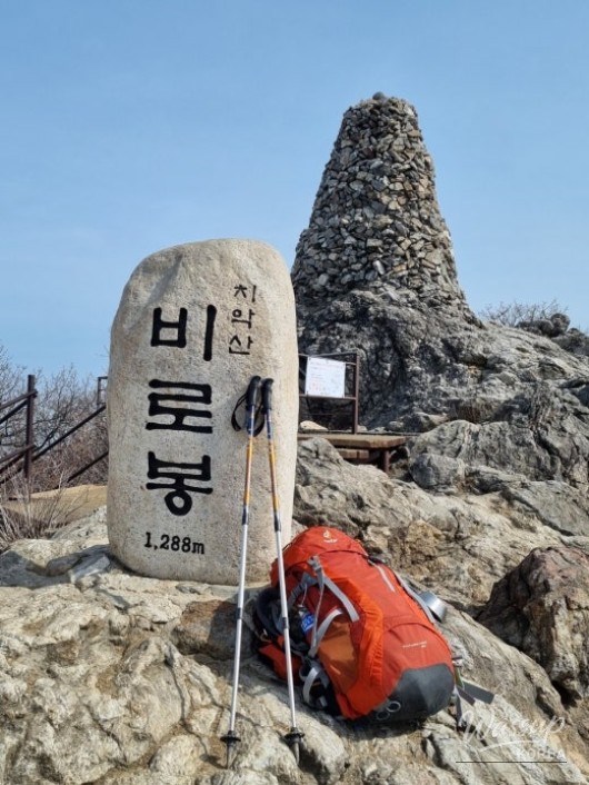인상 깊은 모습
