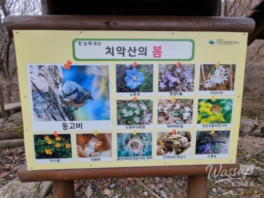 평화로운 풍경