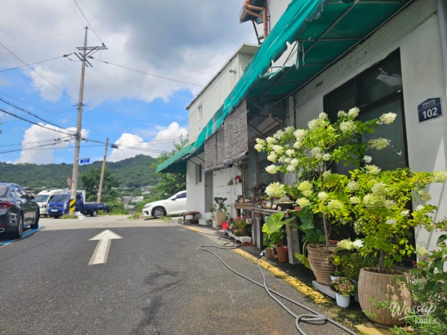Peaceful Scenery