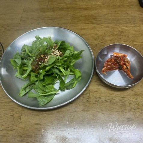 밝은 미래