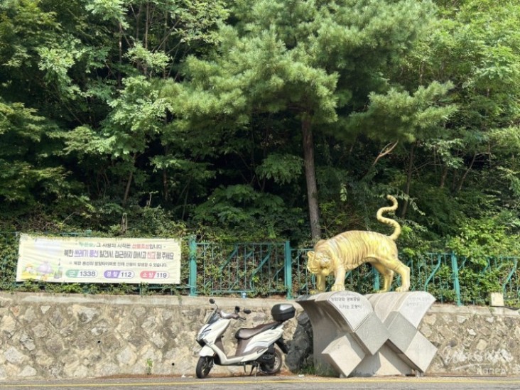 신비로운 모습