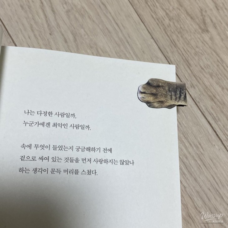 평화로운 풍경