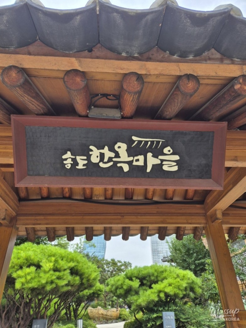 멋진 사진