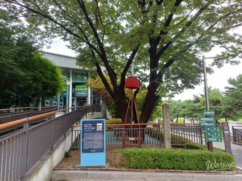 평화로운 풍경