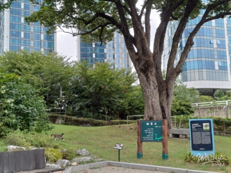 감동적인 장면