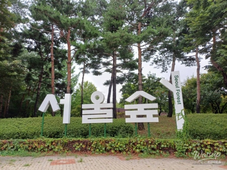 소중한 기억