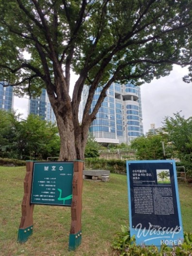 놀라운 광경